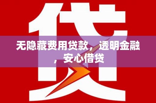 王益无隐藏费用贷款，透明金融，安心借贷