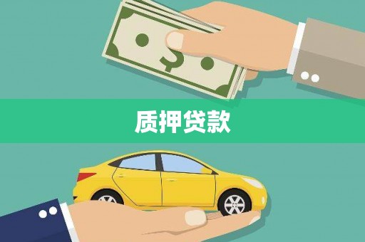 王益质押贷款