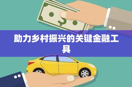 王益助力乡村振兴的关键金融工具