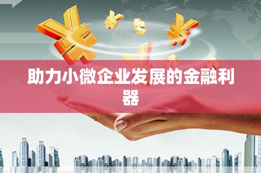 王益助力小微企业发展的金融利器