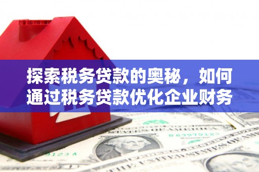 王益探索税务贷款的奥秘，如何通过税务贷款优化企业财务