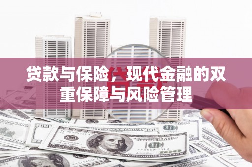 王益贷款与保险，现代金融的双重保障与风险管理