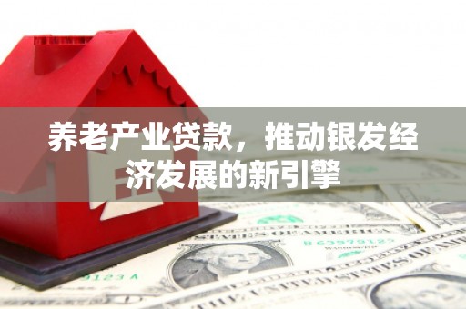 王益养老产业贷款，推动银发经济发展的新引擎
