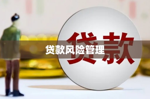 王益贷款风险管理