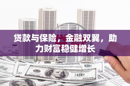 王益贷款与保险，金融双翼，助力财富稳健增长