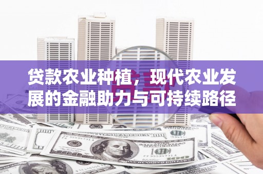 王益贷款农业种植，现代农业发展的金融助力与可持续路径