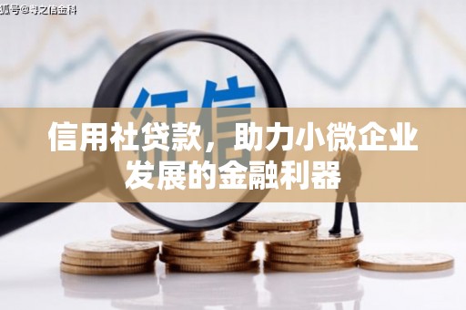 王益信用社贷款，助力小微企业发展的金融利器