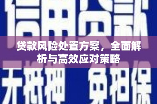 王益贷款风险处置方案，全面解析与高效应对策略