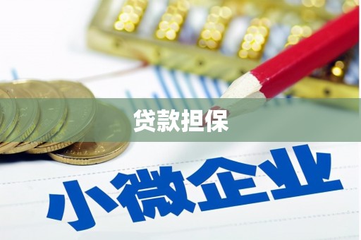 王益贷款担保