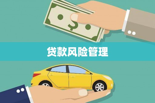 王益贷款风险管理