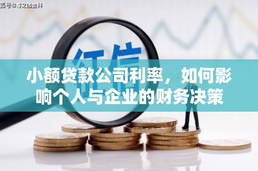 王益小额贷款公司利率，如何影响个人与企业的财务决策