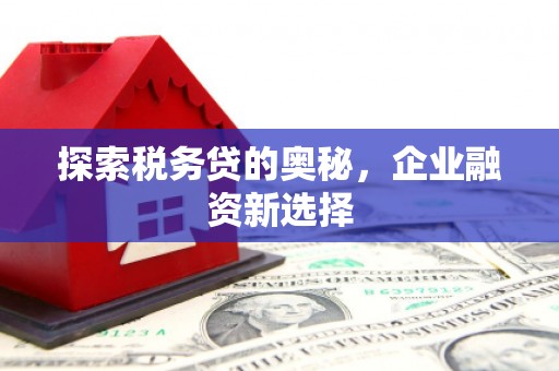 王益探索税务贷的奥秘，企业融资新选择