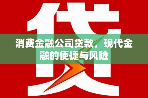 王益消费金融公司贷款，现代金融的便捷与风险