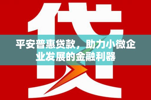 王益平安普惠贷款，助力小微企业发展的金融利器