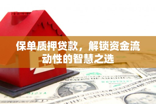 王益保单质押贷款，解锁资金流动性的智慧之选