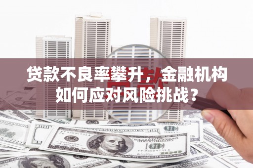 王益贷款不良率攀升，金融机构如何应对风险挑战？