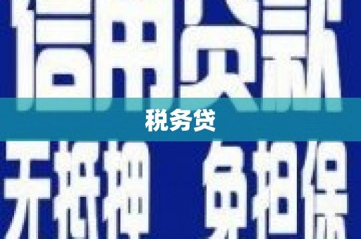 王益税务贷