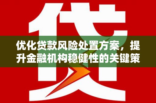 王益优化贷款风险处置方案，提升金融机构稳健性的关键策略