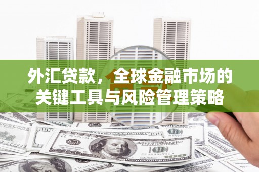 王益外汇贷款，全球金融市场的关键工具与风险管理策略