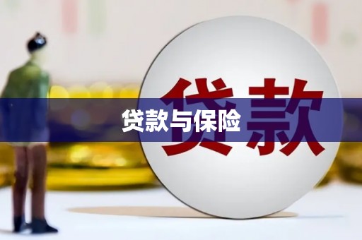 王益贷款与保险