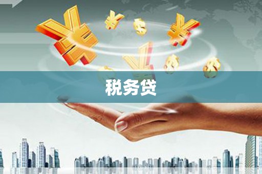 王益税务贷