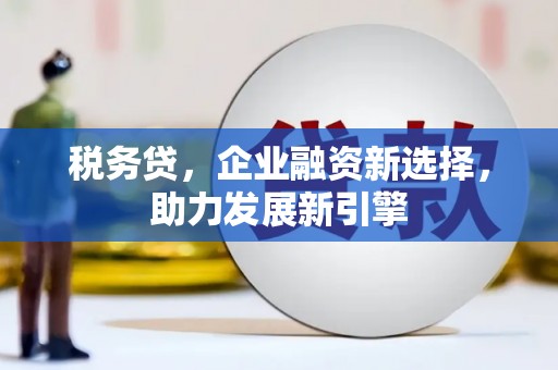 王益税务贷，企业融资新选择，助力发展新引擎