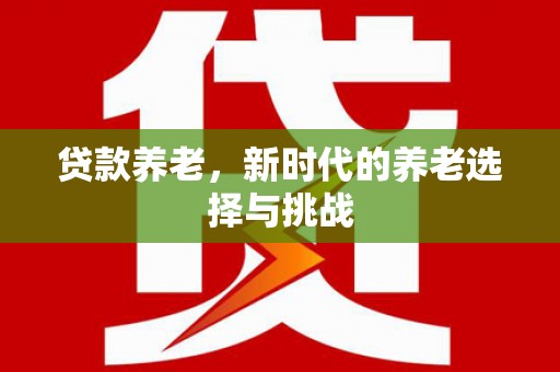 王益贷款养老，新时代的养老选择与挑战