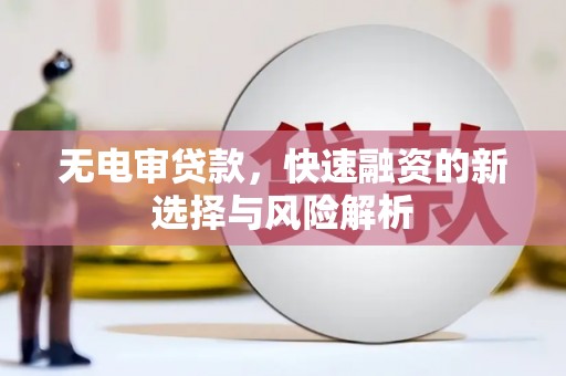 王益无电审贷款，快速融资的新选择与风险解析