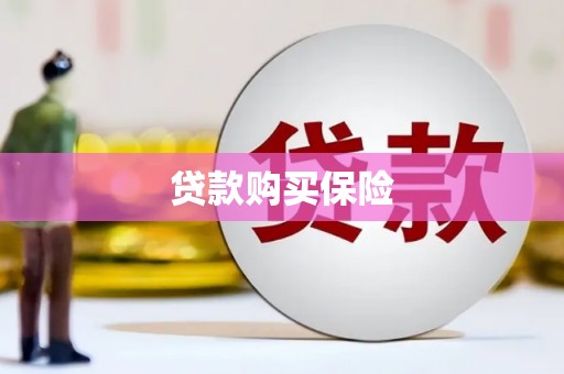 王益贷款购买保险
