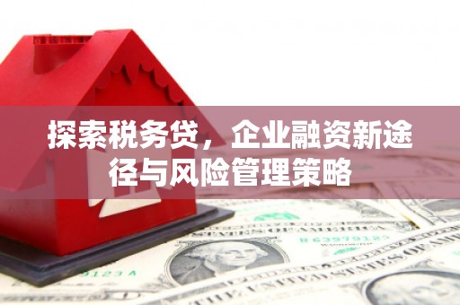 王益探索税务贷，企业融资新途径与风险管理策略