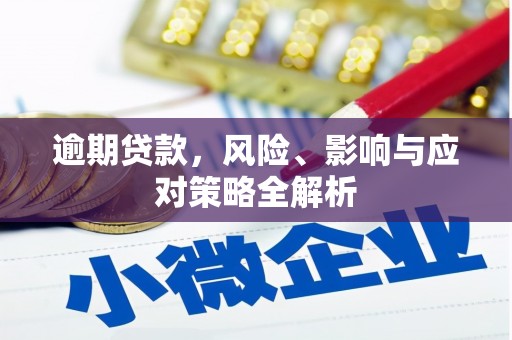 王益逾期贷款，风险、影响与应对策略全解析