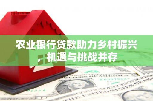 王益农业银行贷款助力乡村振兴，机遇与挑战并存