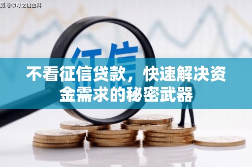 王益不看征信贷款，快速解决资金需求的秘密武器