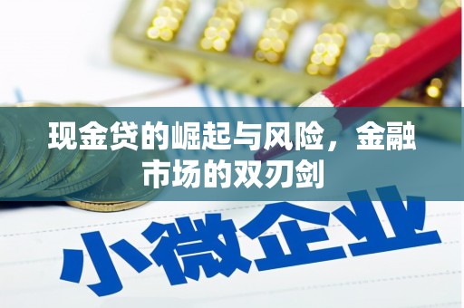 王益现金贷的崛起与风险，金融市场的双刃剑