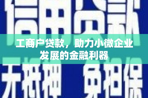 王益工商户贷款，助力小微企业发展的金融利器