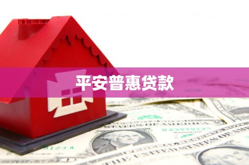 王益平安普惠贷款
