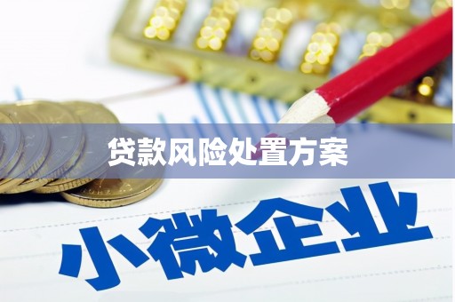 王益贷款风险处置方案
