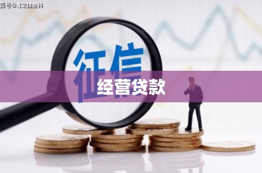 王益经营贷款