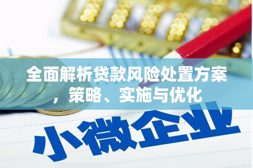 王益全面解析贷款风险处置方案，策略、实施与优化