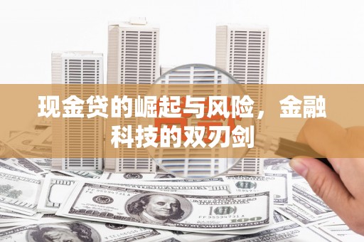 王益现金贷的崛起与风险，金融科技的双刃剑
