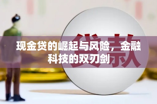 王益现金贷的崛起与风险，金融科技的双刃剑