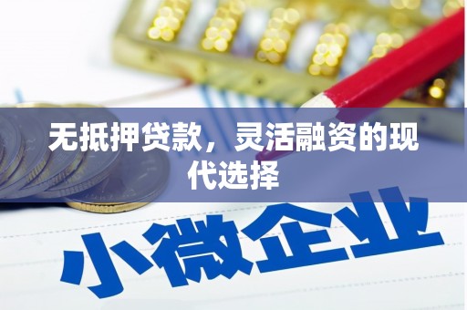 王益无抵押贷款，灵活融资的现代选择