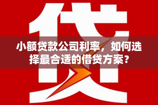 王益小额贷款公司利率，如何选择最合适的借贷方案？