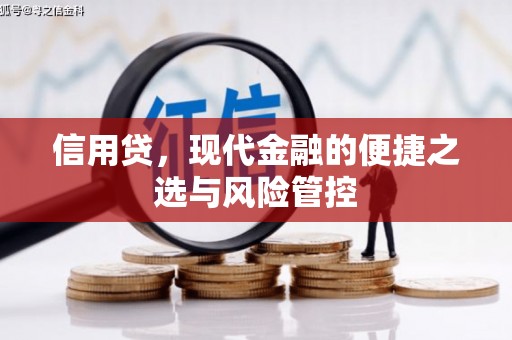 王益信用贷，现代金融的便捷之选与风险管控