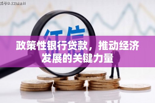 王益政策性银行贷款，推动经济发展的关键力量