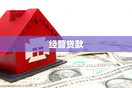 王益经营贷款