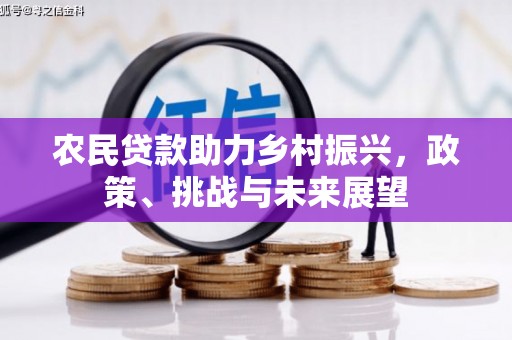 王益农民贷款助力乡村振兴，政策、挑战与未来展望