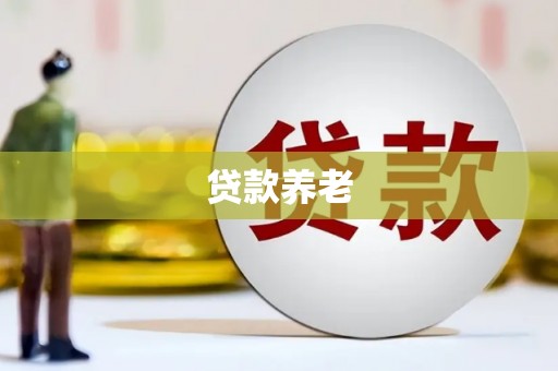 王益贷款养老