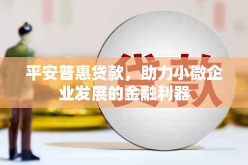 王益平安普惠贷款，助力小微企业发展的金融利器