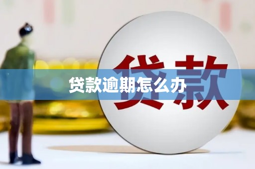 王益贷款逾期怎么办